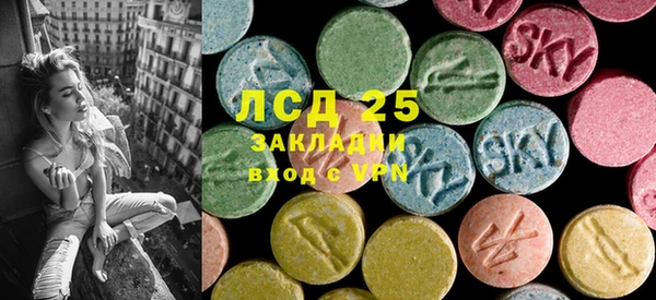 ПСИЛОЦИБИНОВЫЕ ГРИБЫ Алагир
