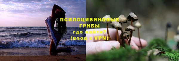 ПСИЛОЦИБИНОВЫЕ ГРИБЫ Алагир