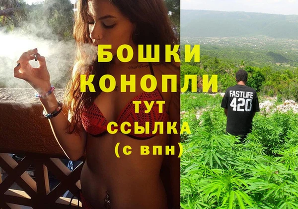 ПСИЛОЦИБИНОВЫЕ ГРИБЫ Алагир