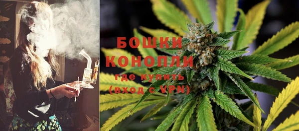 гидропоника Анжеро-Судженск