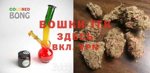 ПСИЛОЦИБИНОВЫЕ ГРИБЫ Алагир