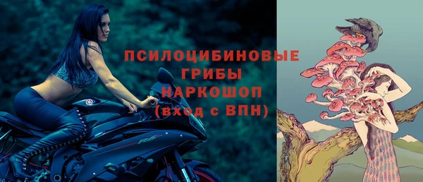 гидропоника Анжеро-Судженск